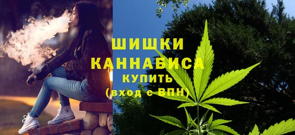 бошки Осинники