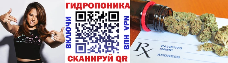 Канабис тримм  нарко площадка как зайти  Новозыбков 